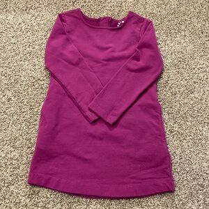 Primary sweatshirt dress